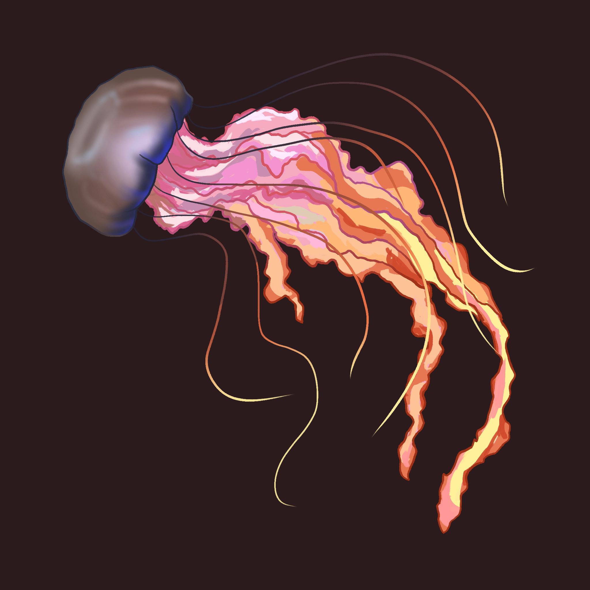 WhatsApp Image 2026-01-13 at 14.43.55